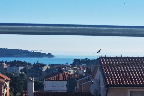 Istra,Novigrad-Dvosobni stan,novogradnja,pogled more