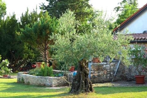 Istra,Lovrečica-Kuća prizemnica s prostranim vrtom