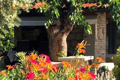 Istra,Lovrečica-Kuća prizemnica s prostranim vrtom