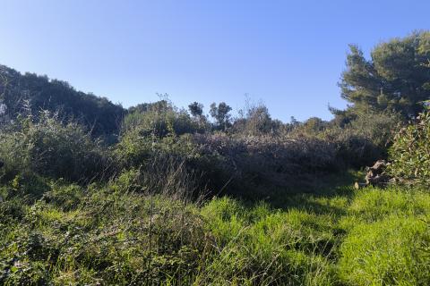 MEDULIN, PJEŠČANA UVALA – građevinsko zemljište