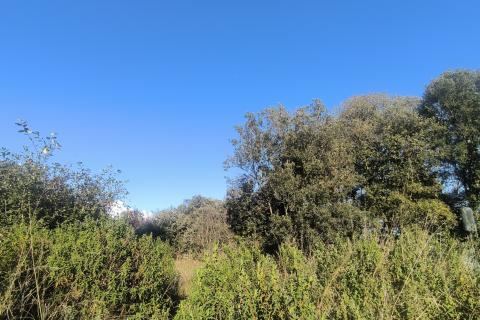 MEDULIN, PJEŠČANA UVALA – građevinsko zemljište