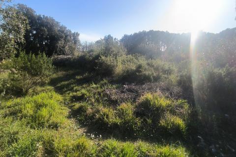 MEDULIN, PJEŠČANA UVALA – građevinsko zemljište