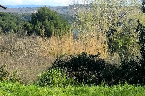 Istria, Premantura – Attractive Building Plot