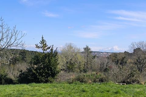 Istria, Premantura – Attractive Building Plot