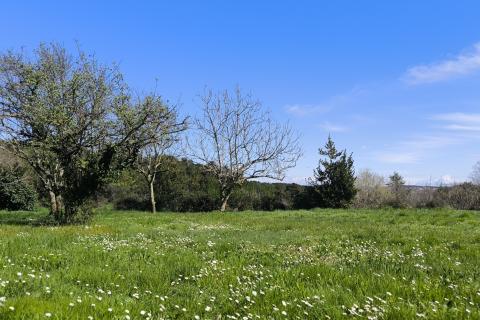 Istria, Premantura – Attractive Building Plot