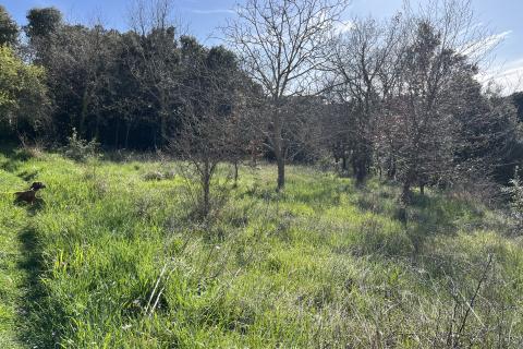 Istra,Pula,građevinsko zemljište na periferiji grada