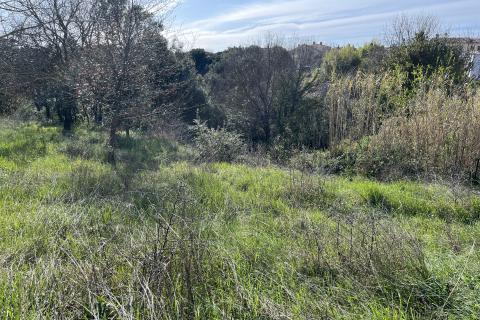 Istra,Pula,građevinsko zemljište na periferiji grada