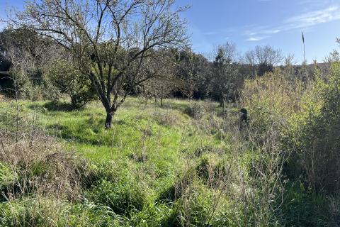 Istra,Pula,građevinsko zemljište na periferiji grada