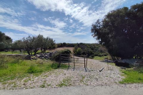 Krk, poljoprivredni teren s izvorom vode