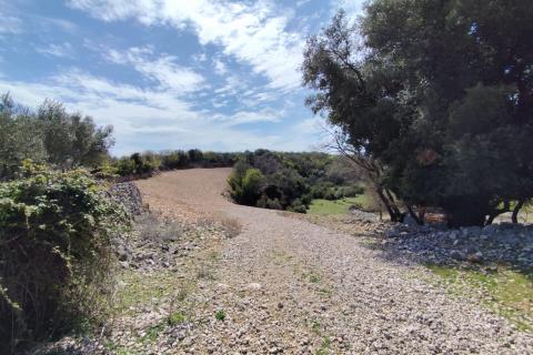 Krk, poljoprivredni teren s izvorom vode