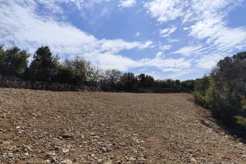 Krk, poljoprivredni teren s izvorom vode