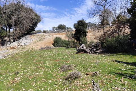 Krk, poljoprivredni teren s izvorom vode