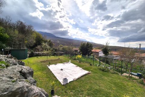 ISTRA,LUPOGLAV- kamena kuća s velikom okućnicom