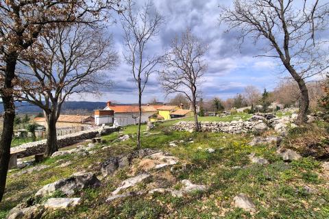 ISTRA,LUPOGLAV- kamena kuća s velikom okućnicom