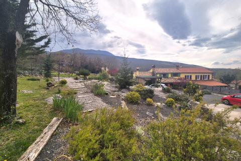 ISTRA,LUPOGLAV- kamena kuća s velikom okućnicom