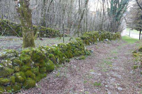 Huis Lipa, Matulji, 200m2