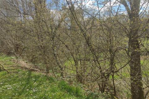 Slunj,građevinsko zemljište 700 m2