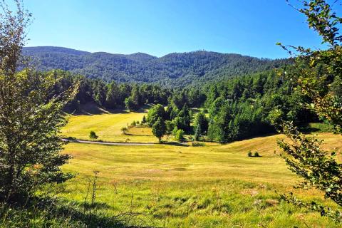 Lepenice - Jelenje, građevinski teren od 5004m2