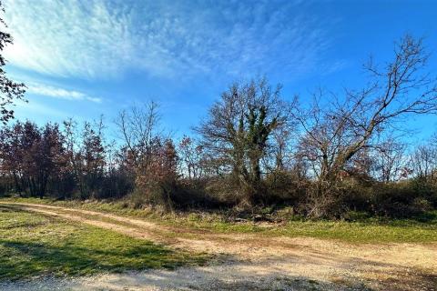 Istra,Bijažići-Građevinsko zemljište stambne namjene