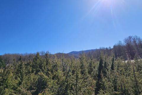 Земельный участок строительного назначения Ravna Gora, 500m2