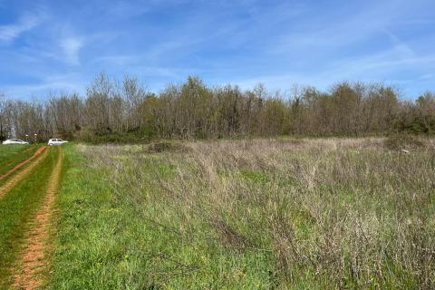 Istra, Umag, Lovrečica - poljoprivredno zemljište 3795 m2