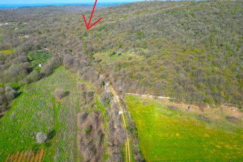 Istra,Rovinj-8km,prekrasna šuma