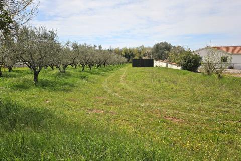 Istra, Umag okolica- građevinsko zemljište blizu mora