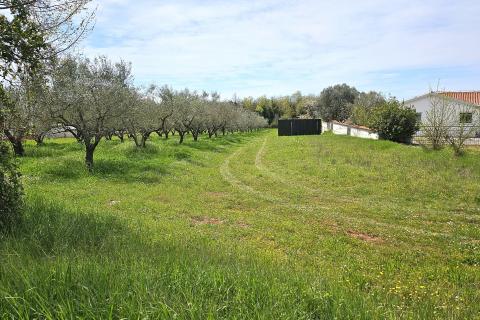 Istra, Umag okolica- građevinsko zemljište blizu mora