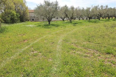 Istra, Umag okolica- građevinsko zemljište blizu mora