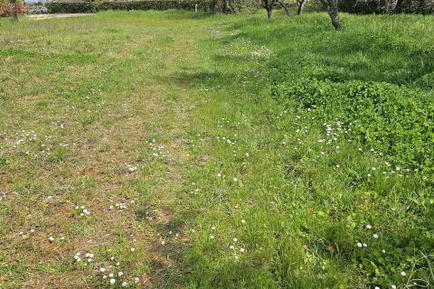 Istra, Umag okolica- građevinsko zemljište blizu mora