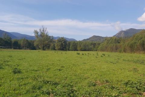 Building plot Brod na Kupi, Delnice, 3.900m2