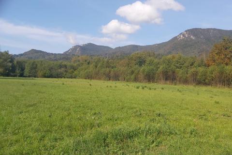 Building plot Brod na Kupi, Delnice, 3.900m2