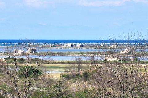 Istra,Kaštel-Vila s bazenom i apartmanska kuća