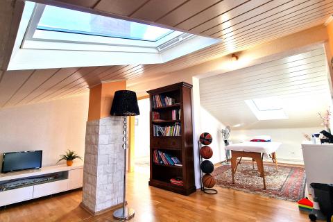 Istra,Kaštel-Vila s bazenom i apartmanska kuća