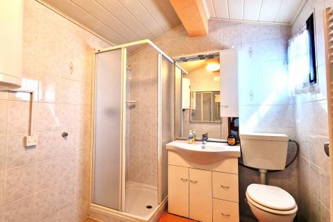 Istra,Kaštel-Vila s bazenom i apartmanska kuća