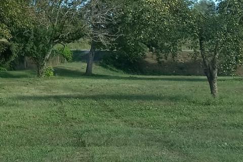 Hiša Bukevje, Orle, 65m2