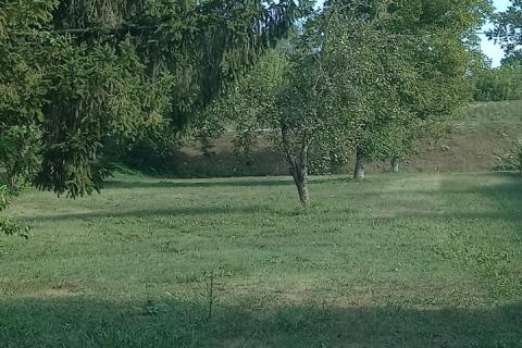 Hiša Bukevje, Orle, 65m2