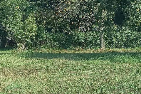 Hiša Bukevje, Orle, 65m2