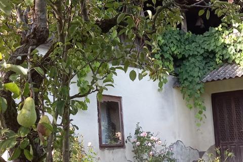 Hiša Bukevje, Orle, 65m2