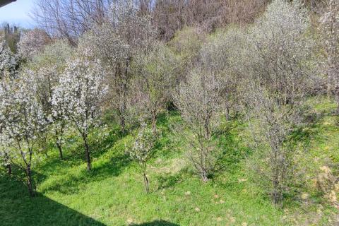 Bauland Obrež Zelinski, Sveti Ivan Zelina, 2.307m2