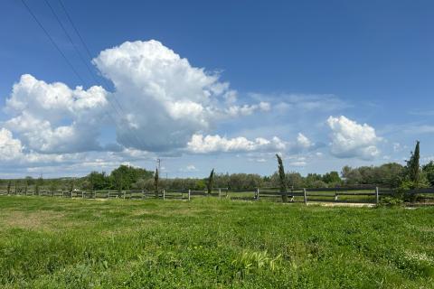 Building plot Tar, Tar-Vabriga, 5.086m2