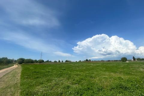 Building plot Tar, Tar-Vabriga, 5.086m2