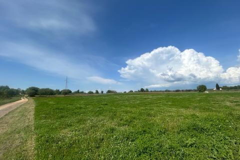 Building plot Tar, Tar-Vabriga, 5.086m2