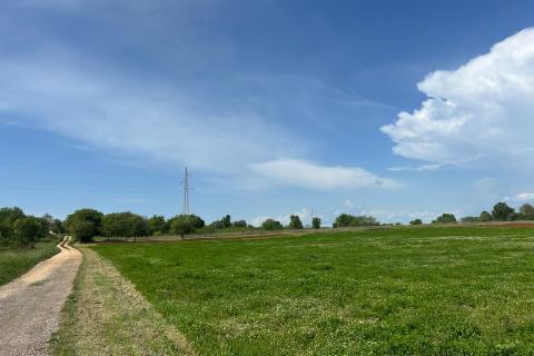 Building plot Tar, Tar-Vabriga, 5.086m2