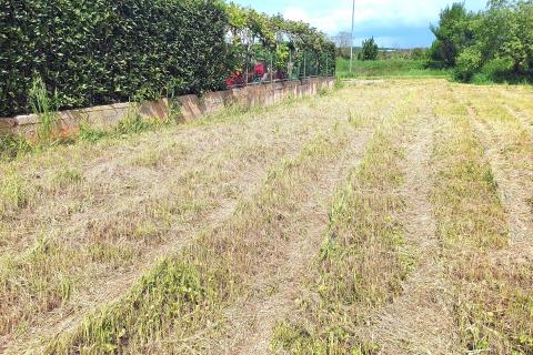 Istra, Umag - građevinsko zemljište s dozvolom i projektom za duplex, plaćene komunalije i priključci