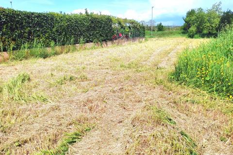 Istra, Umag - građevinsko zemljište s dozvolom i projektom za duplex, plaćene komunalije i priključci