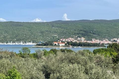 Krk,grad Krk,maslinik na prekrasnoj lokaciji,pogled na more