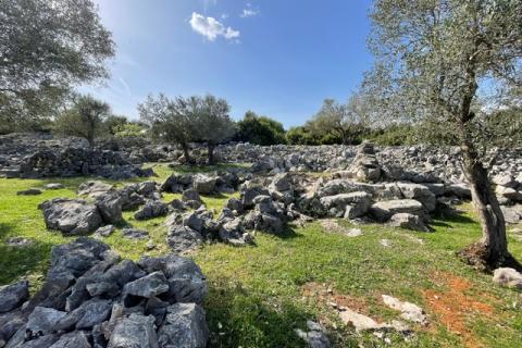 Krk,grad Krk,maslinik na prekrasnoj lokaciji,pogled na more