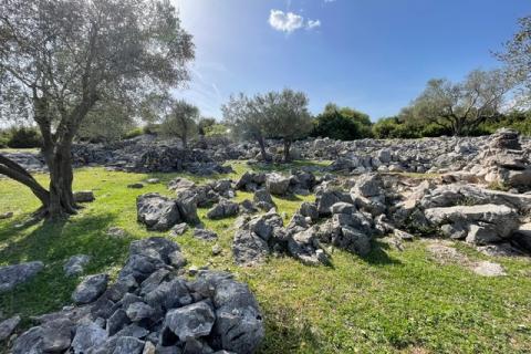 Krk,grad Krk,maslinik na prekrasnoj lokaciji,pogled na more