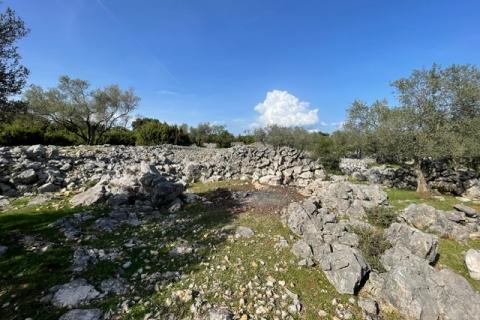 Krk,grad Krk,maslinik na prekrasnoj lokaciji,pogled na more